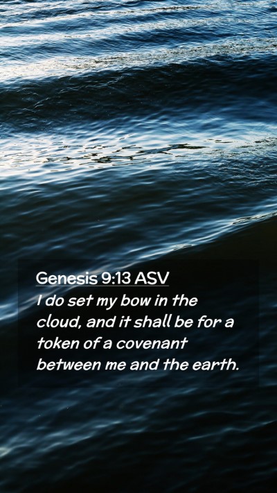 Picture 02 - Genesis 9:13 ASV Mobile Phone Wallpaper - I do set my bow in the cloud, and it shall be for - Mobile Bible Verse Wallpaper