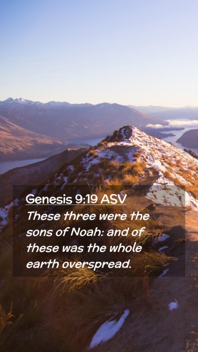 Picture 02 - Genesis 9:19 ASV Mobile Phone Wallpaper - These three were the sons of Noah: and of these - Mobile Bible Verse Wallpaper