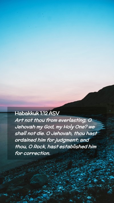 Picture 02 - Habakkuk 1:12 ASV Mobile Phone Wallpaper - Art not thou from everlasting, O Jehovah my God, - Mobile Bible Verse Wallpaper