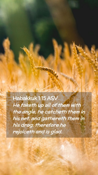 Picture 02 - Habakkuk 1:15 ASV Mobile Phone Wallpaper - He taketh up all of them with the angle, he - Mobile Bible Verse Wallpaper