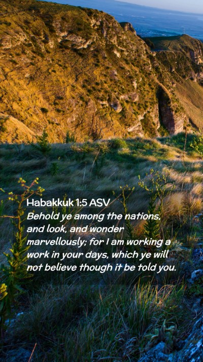 Picture 02 - Habakkuk 1:5 ASV Mobile Phone Wallpaper - Behold ye among the nations, and look, and wonder - Mobile Bible Verse Wallpaper