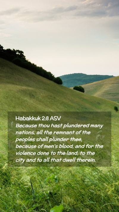 Picture 02 - Habakkuk 2:8 ASV Mobile Phone Wallpaper - Because thou hast plundered many nations, all the - Mobile Bible Verse Wallpaper