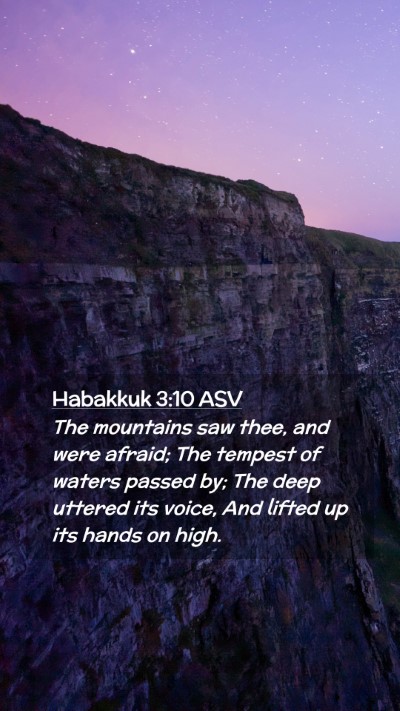 Picture 02 - Habakkuk 3:10 ASV Mobile Phone Wallpaper - The mountains saw thee, and were afraid; The - Mobile Bible Verse Wallpaper