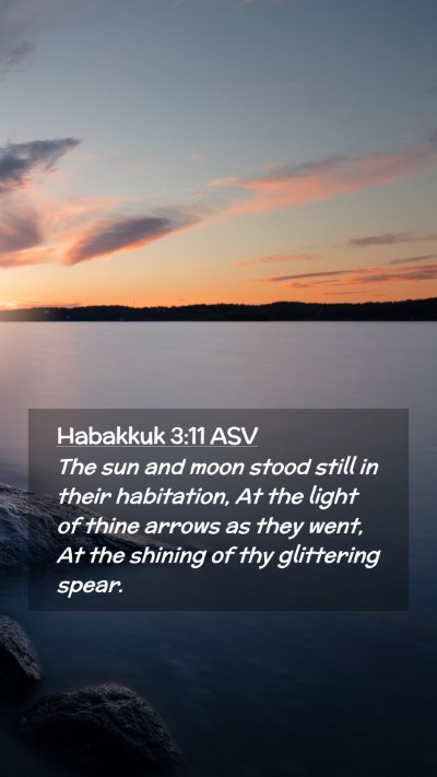 Picture 02 - Habakkuk 3:11 ASV Mobile Phone Wallpaper - The sun and moon stood still in their habitation, - Mobile Bible Verse Wallpaper