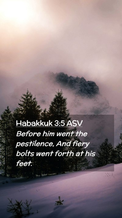 Picture 02 - Habakkuk 3:5 ASV Mobile Phone Wallpaper - Before him went the pestilence, And fiery bolts - Mobile Bible Verse Wallpaper