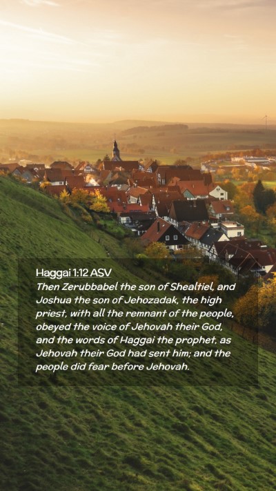 Picture 02 - Haggai 1:12 ASV Mobile Phone Wallpaper - Then Zerubbabel the son of Shealtiel, and Joshua - Mobile Bible Verse Wallpaper