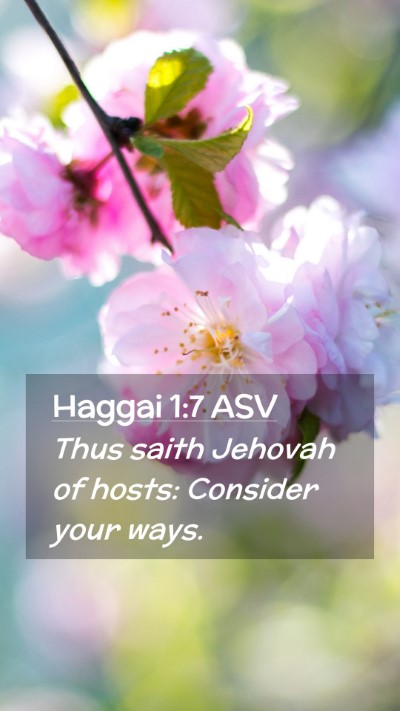 Picture 02 - Haggai 1:7 ASV Mobile Phone Wallpaper - Thus saith Jehovah of hosts: Consider your - Mobile Bible Verse Wallpaper