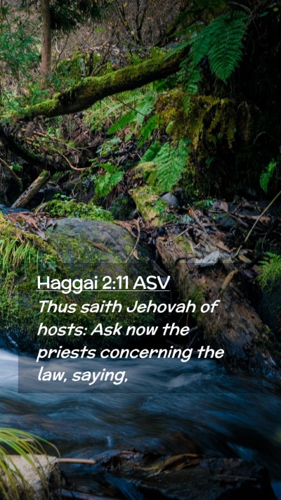 Picture 02 - Haggai 2:11 ASV Mobile Phone Wallpaper - Thus saith Jehovah of hosts: Ask now the priests - Mobile Bible Verse Wallpaper