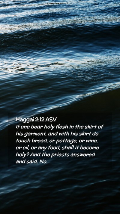 Picture 02 - Haggai 2:12 ASV Mobile Phone Wallpaper - If one bear holy flesh in the skirt of his - Mobile Bible Verse Wallpaper