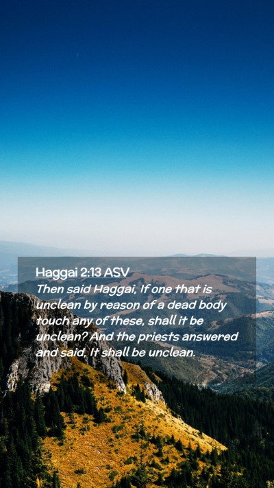 Picture 02 - Haggai 2:13 ASV Mobile Phone Wallpaper - Then said Haggai, If one that is unclean by - Mobile Bible Verse Wallpaper
