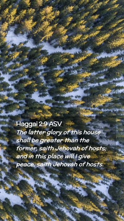 Picture 02 - Haggai 2:9 ASV Mobile Phone Wallpaper - The latter glory of this house shall be greater - Mobile Bible Verse Wallpaper
