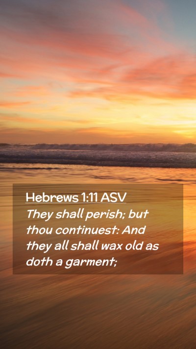 Picture 02 - Hebrews 1:11 ASV Mobile Phone Wallpaper - They shall perish; but thou continuest: And they - Mobile Bible Verse Wallpaper