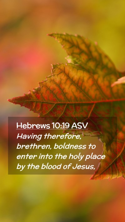 Picture 02 - Hebrews 10:19 ASV Mobile Phone Wallpaper - Having therefore, brethren, boldness to enter - Mobile Bible Verse Wallpaper