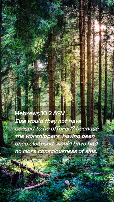 Picture 02 - Hebrews 10:2 ASV Mobile Phone Wallpaper - Else would they not have ceased to be offered? - Mobile Bible Verse Wallpaper