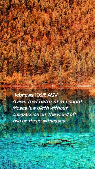 Picture 02 - Hebrews 10:28 ASV Mobile Phone Wallpaper - A man that hath set at nought Moses law dieth - Mobile Bible Verse Wallpaper