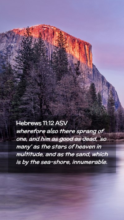 Picture 02 - Hebrews 11:12 ASV Mobile Phone Wallpaper - wherefore also there sprang of one, and him as - Mobile Bible Verse Wallpaper