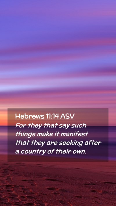 Picture 02 - Hebrews 11:14 ASV Mobile Phone Wallpaper - For they that say such things make it manifest - Mobile Bible Verse Wallpaper