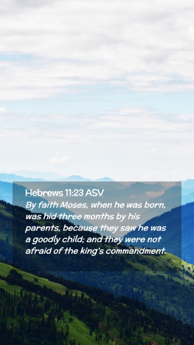 Picture 02 - Hebrews 11:23 ASV Mobile Phone Wallpaper - By faith Moses, when he was born, was hid three - Mobile Bible Verse Wallpaper