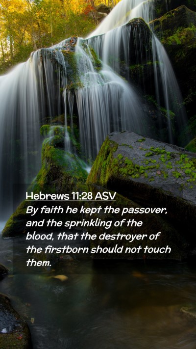 Picture 02 - Hebrews 11:28 ASV Mobile Phone Wallpaper - By faith he kept the passover, and the sprinkling - Mobile Bible Verse Wallpaper