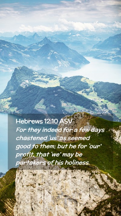Picture 02 - Hebrews 12:10 ASV Mobile Phone Wallpaper - For they indeed for a few days chastened `us' as - Mobile Bible Verse Wallpaper