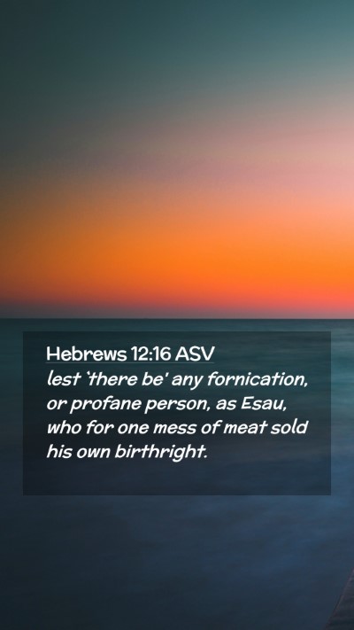 Picture 02 - Hebrews 12:16 ASV Mobile Phone Wallpaper - lest `there be' any fornication, or profane - Mobile Bible Verse Wallpaper