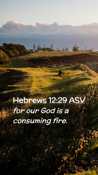 Picture 02 - Hebrews 12:29 ASV Mobile Phone Wallpaper - for our God is a consuming - Mobile Bible Verse Wallpaper