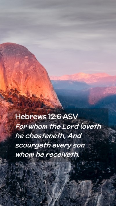 Picture 02 - Hebrews 12:6 ASV Mobile Phone Wallpaper - For whom the Lord loveth he chasteneth, And - Mobile Bible Verse Wallpaper