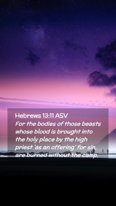 Picture 02 - Hebrews 13:11 ASV Mobile Phone Wallpaper - For the bodies of those beasts whose blood is - Mobile Bible Verse Wallpaper