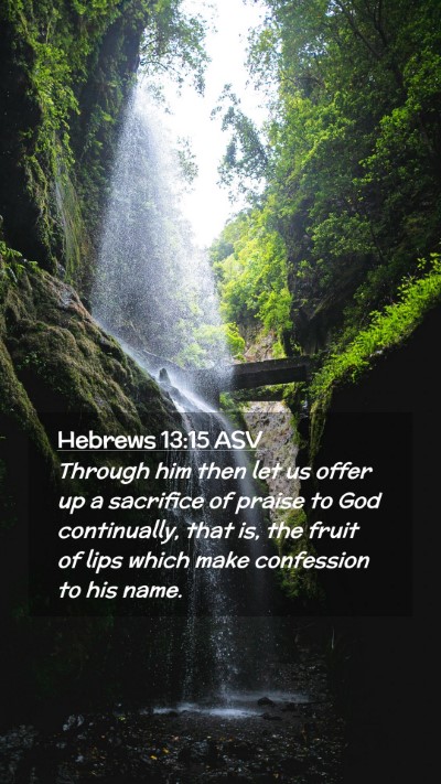 Picture 02 - Hebrews 13:15 ASV Mobile Phone Wallpaper - Through him then let us offer up a sacrifice of - Mobile Bible Verse Wallpaper