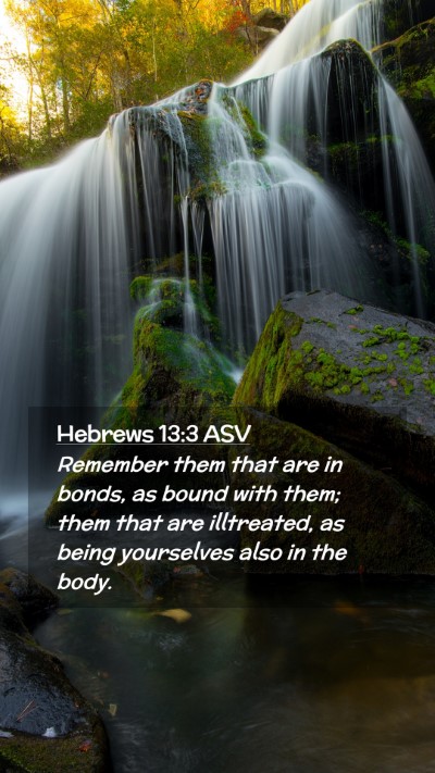 Picture 02 - Hebrews 13:3 ASV Mobile Phone Wallpaper - Remember them that are in bonds, as bound with - Mobile Bible Verse Wallpaper