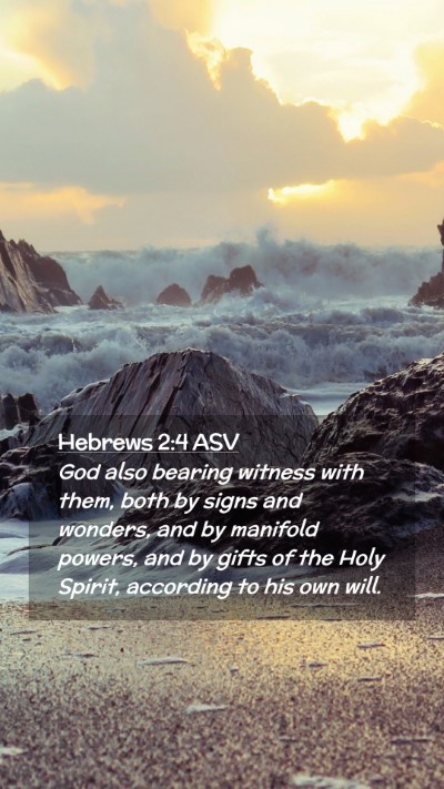 Picture 02 - Hebrews 2:4 ASV Mobile Phone Wallpaper - God also bearing witness with them, both by signs - Mobile Bible Verse Wallpaper