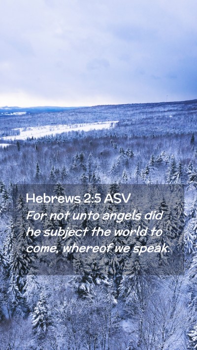 Picture 02 - Hebrews 2:5 ASV Mobile Phone Wallpaper - For not unto angels did he subject the world to - Mobile Bible Verse Wallpaper