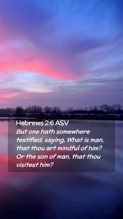 Picture 02 - Hebrews 2:6 ASV Mobile Phone Wallpaper - But one hath somewhere testified, saying, What is - Mobile Bible Verse Wallpaper