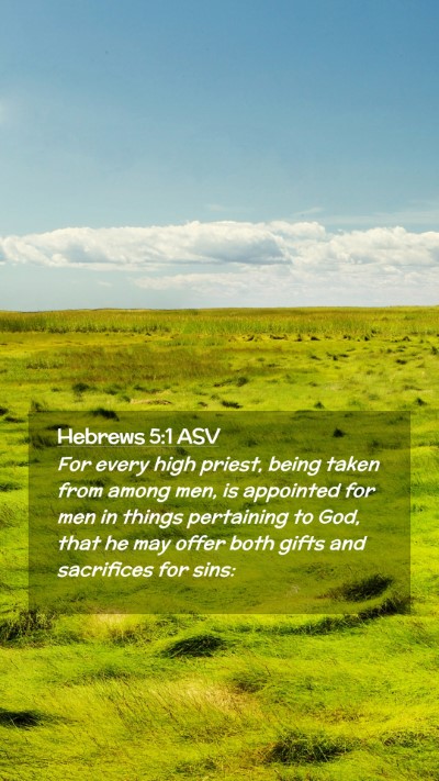 Picture 02 - Hebrews 5:1 ASV Mobile Phone Wallpaper - For every high priest, being taken from among - Mobile Bible Verse Wallpaper