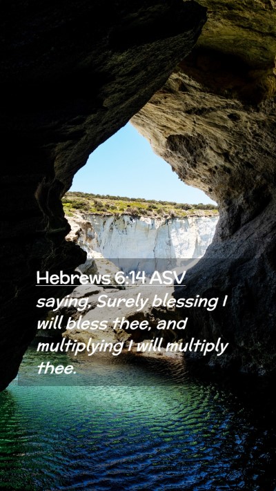 Picture 02 - Hebrews 6:14 ASV Mobile Phone Wallpaper - saying, Surely blessing I will bless thee, and - Mobile Bible Verse Wallpaper