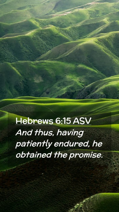 Picture 02 - Hebrews 6:15 ASV Mobile Phone Wallpaper - And thus, having patiently endured, he obtained - Mobile Bible Verse Wallpaper