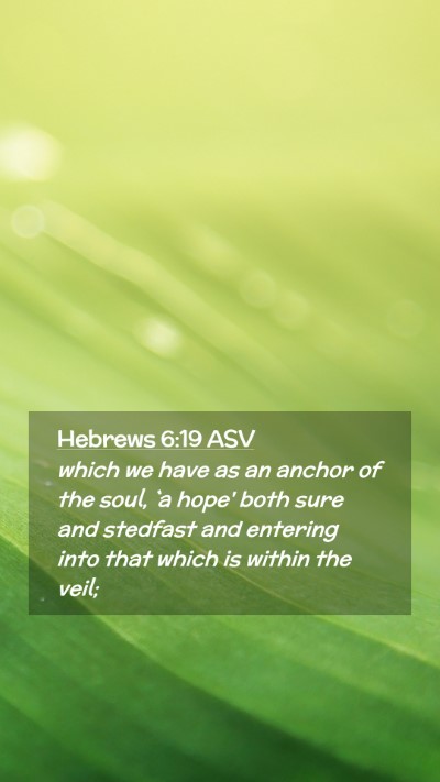 Picture 02 - Hebrews 6:19 ASV Mobile Phone Wallpaper - which we have as an anchor of the soul, `a hope' - Mobile Bible Verse Wallpaper