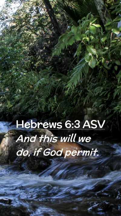 Picture 02 - Hebrews 6:3 ASV Mobile Phone Wallpaper - And this will we do, if God - Mobile Bible Verse Wallpaper
