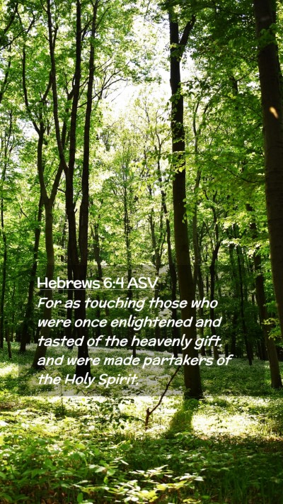 Picture 02 - Hebrews 6:4 ASV Mobile Phone Wallpaper - For as touching those who were once enlightened - Mobile Bible Verse Wallpaper