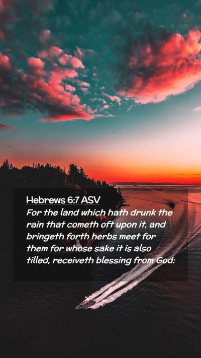 Picture 02 - Hebrews 6:7 ASV Mobile Phone Wallpaper - For the land which hath drunk the rain that - Mobile Bible Verse Wallpaper
