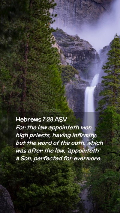 Picture 02 - Hebrews 7:28 ASV Mobile Phone Wallpaper - For the law appointeth men high priests, having - Mobile Bible Verse Wallpaper
