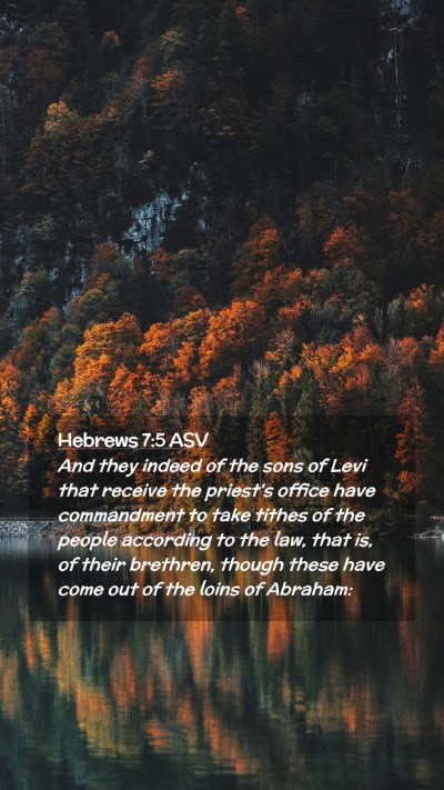 Picture 02 - Hebrews 7:5 ASV Mobile Phone Wallpaper - And they indeed of the sons of Levi that receive - Mobile Bible Verse Wallpaper