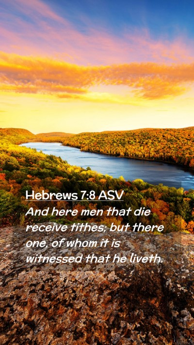 Picture 02 - Hebrews 7:8 ASV Mobile Phone Wallpaper - And here men that die receive tithes; but there - Mobile Bible Verse Wallpaper