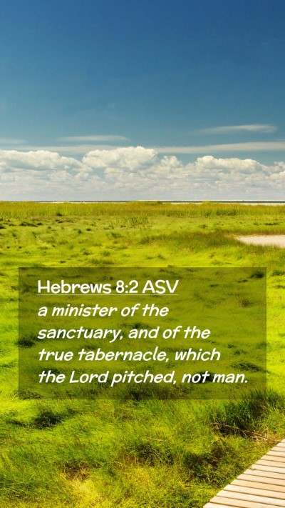 Picture 02 - Hebrews 8:2 ASV Mobile Phone Wallpaper - a minister of the sanctuary, and of the true - Mobile Bible Verse Wallpaper
