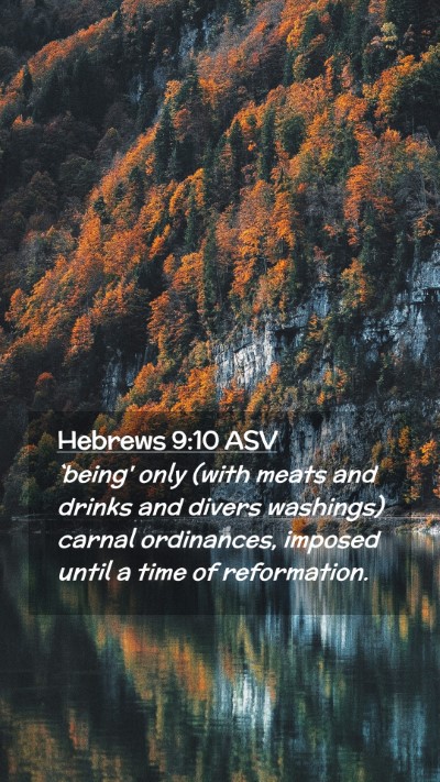 Picture 02 - Hebrews 9:10 ASV Mobile Phone Wallpaper - `being' only (with meats and drinks and divers - Mobile Bible Verse Wallpaper