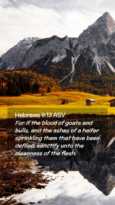 Picture 02 - Hebrews 9:13 ASV Mobile Phone Wallpaper - For if the blood of goats and bulls, and the - Mobile Bible Verse Wallpaper