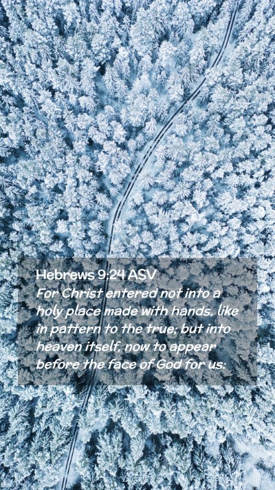 Picture 02 - Hebrews 9:24 ASV Mobile Phone Wallpaper - For Christ entered not into a holy place made - Mobile Bible Verse Wallpaper