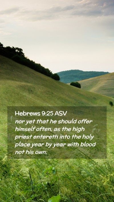 Picture 02 - Hebrews 9:25 ASV Mobile Phone Wallpaper - nor yet that he should offer himself often, as - Mobile Bible Verse Wallpaper