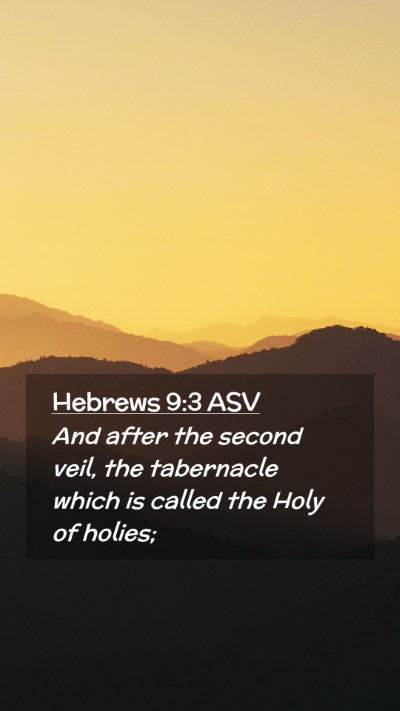 Picture 02 - Hebrews 9:3 ASV Mobile Phone Wallpaper - And after the second veil, the tabernacle which - Mobile Bible Verse Wallpaper