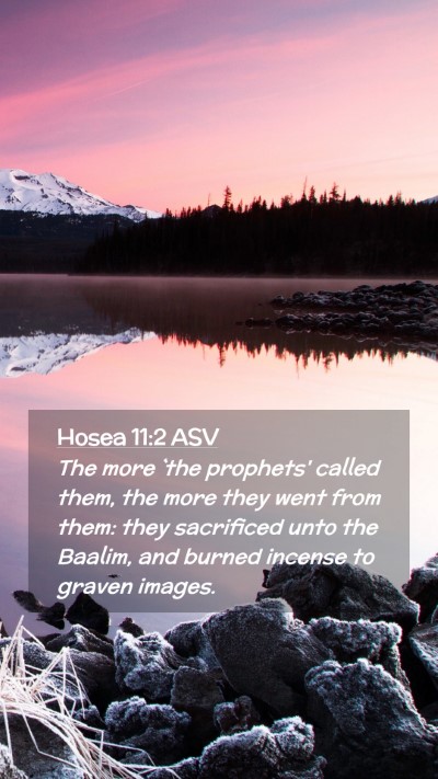 Picture 02 - Hosea 11:2 ASV Mobile Phone Wallpaper - The more `the prophets' called them, the more - Mobile Bible Verse Wallpaper